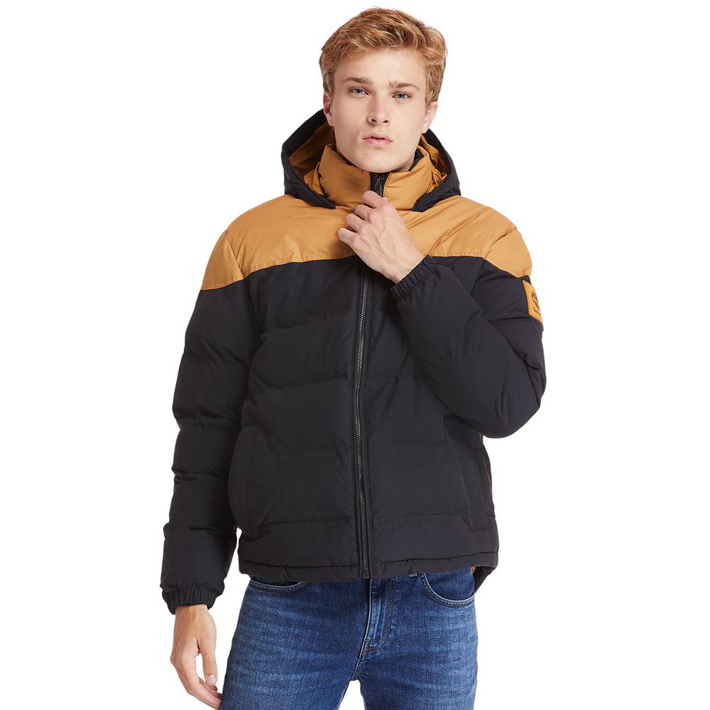 Chaquetas Timberland Argentina Hombre - Welch Mountain Warm Invierno - Marrones/Negras - SFLQDO-014